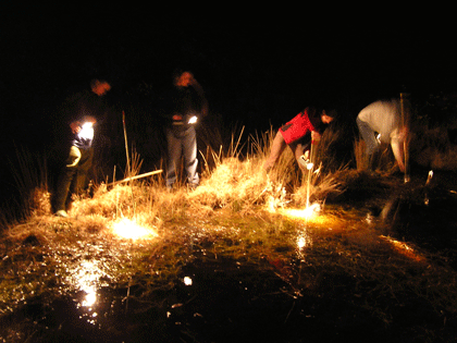 Torch survey