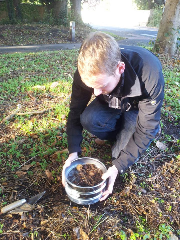jack rawlings student sieving leaf litter